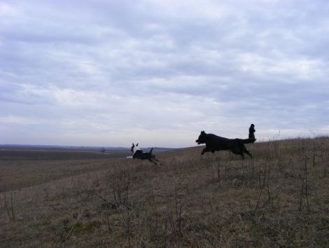 keps6_120.jpg