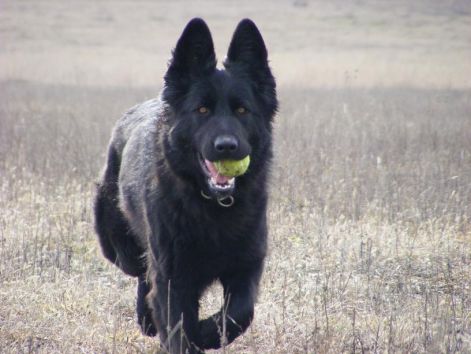 keps6_233.jpg
